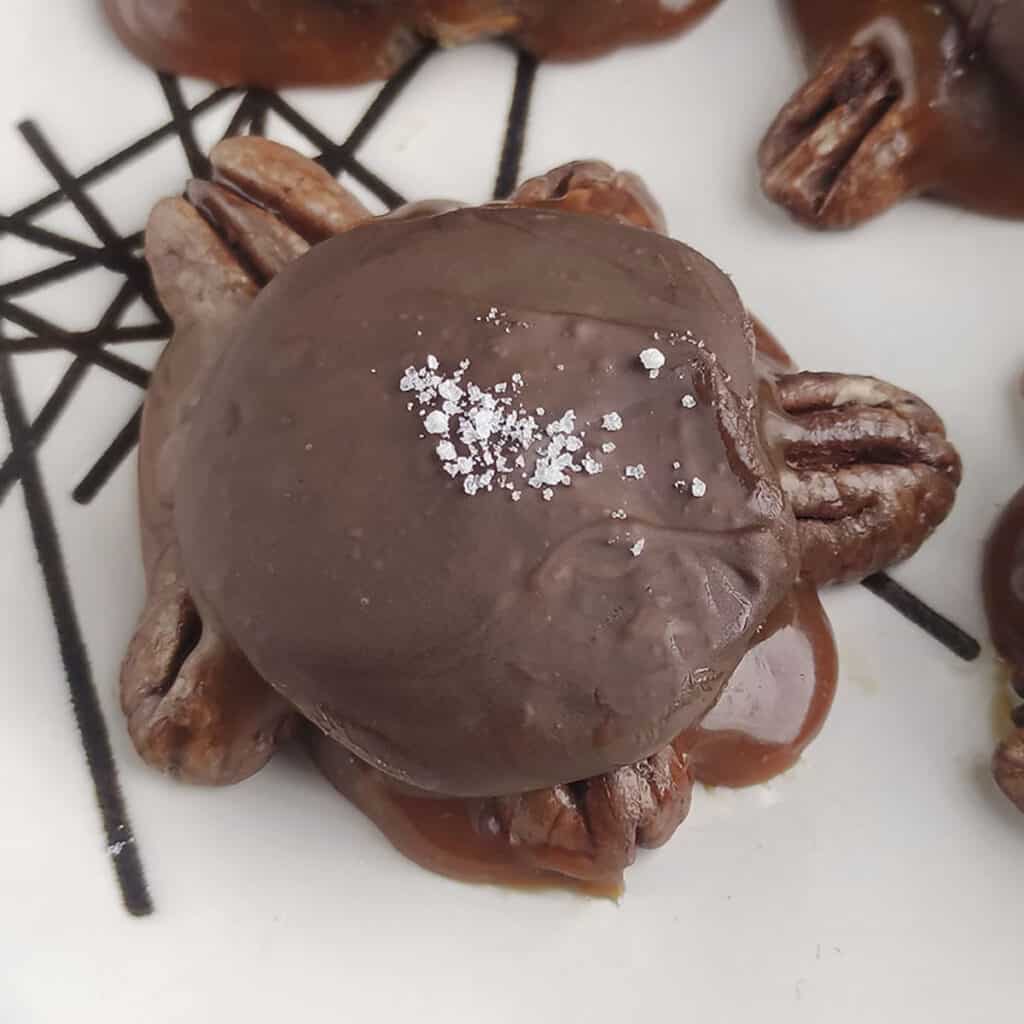 One of the best chocolate pecan turtles on a plate.