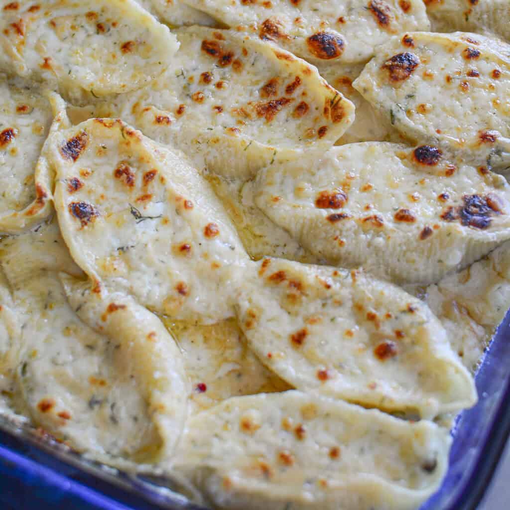 4 ingredient giant cheese stuffed shells square image