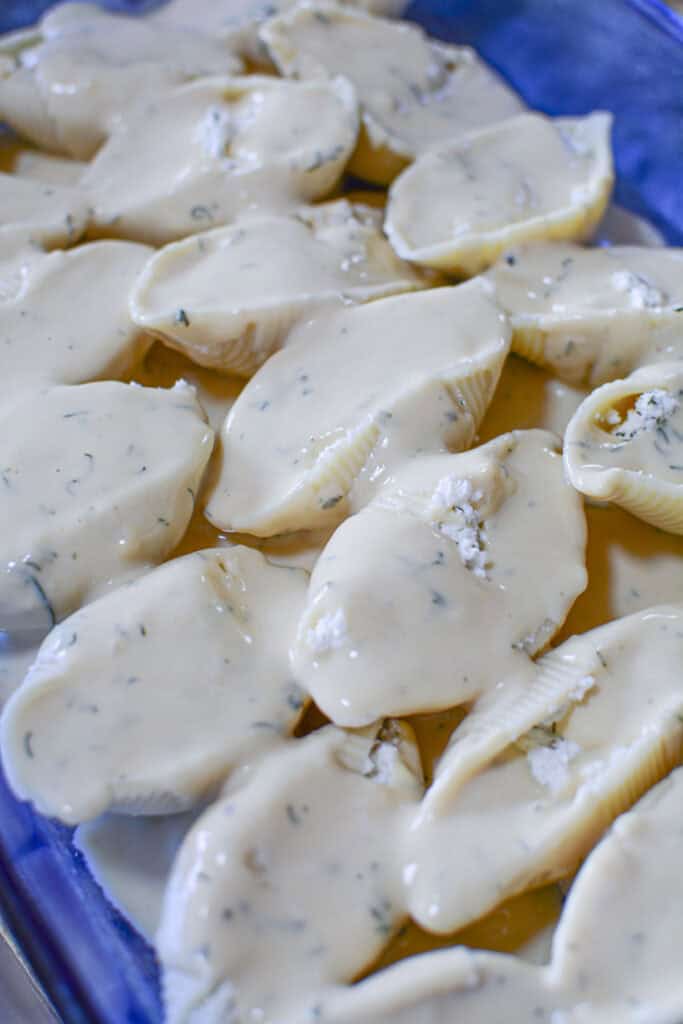 Giant cheese stuffed shells in a blue casserole dish with alfredo sauce poured over top the shells.