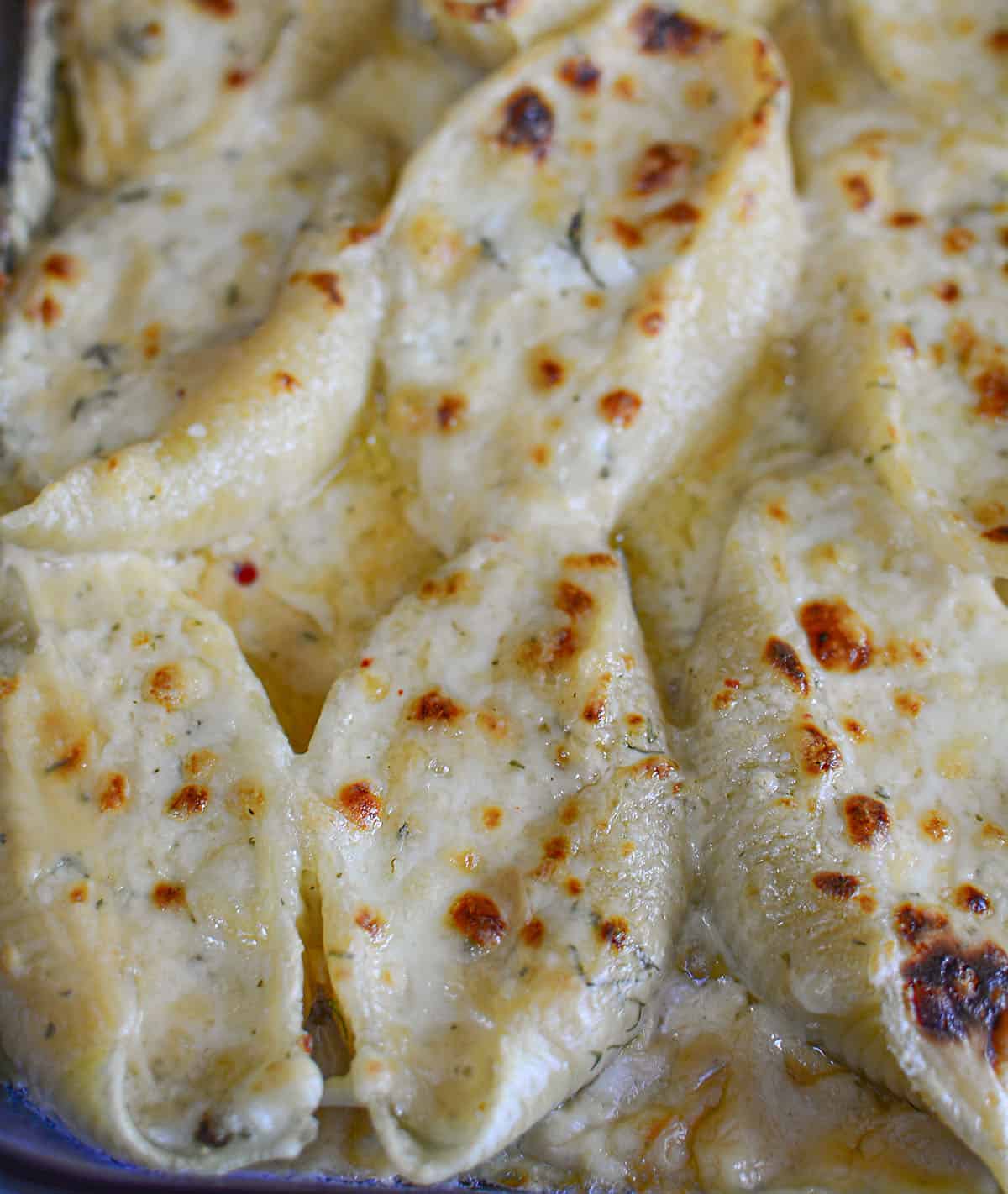 A close up image of 4 ingredient giant cheese stuffed shells out of the oven.